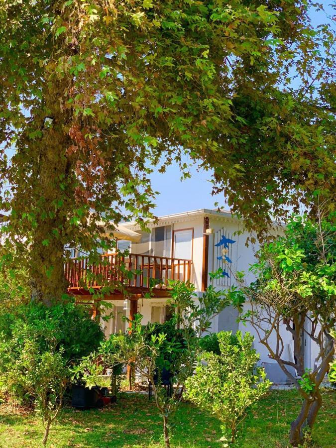 Marvel Tree Hotel Bozyazi ภายนอก รูปภาพ